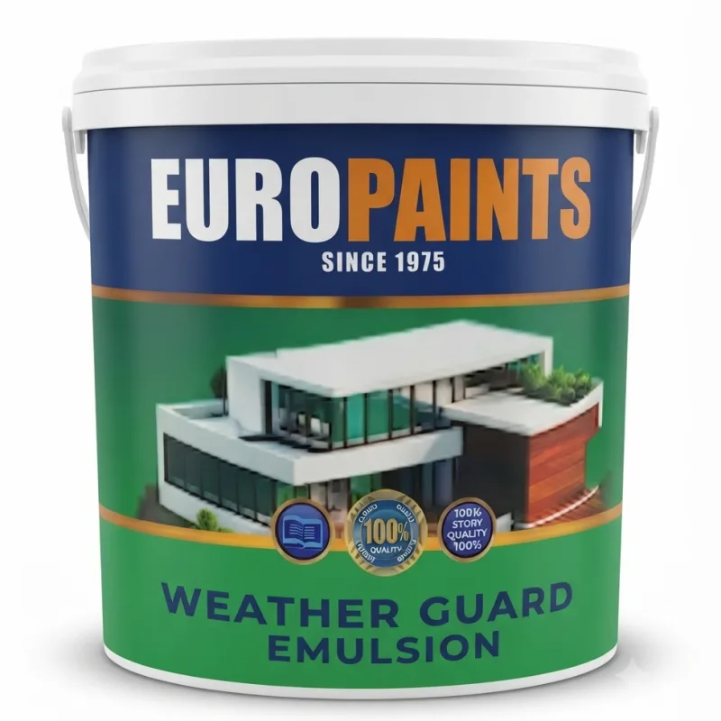 EURO WEATHERSHIELD WITH SILICON - 4L
